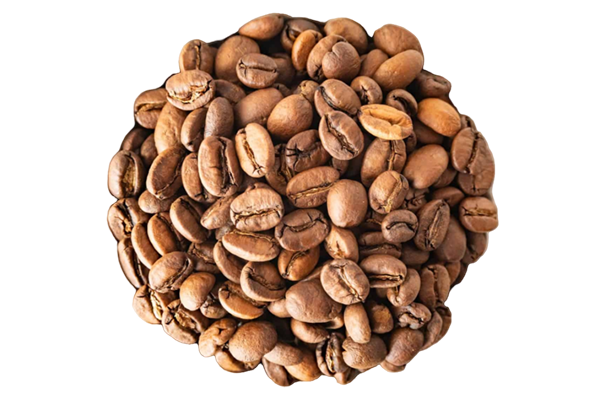 arabica