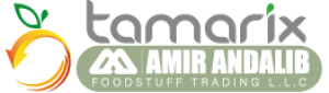 logo-andalib-tamarix